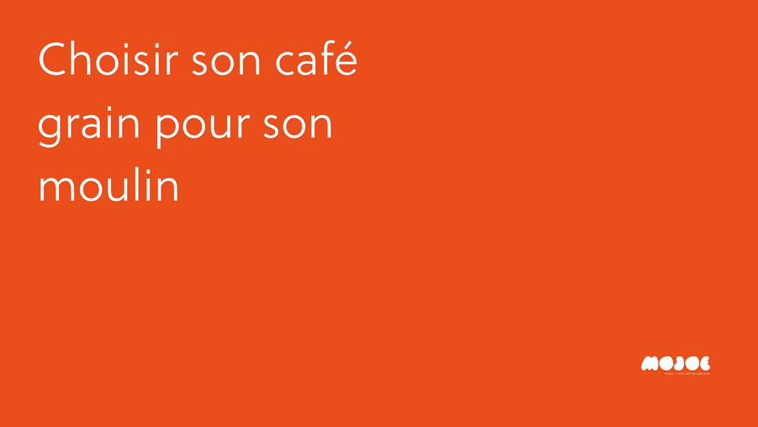 Le guide ultime pour choisir le café en grains pour votre moulin