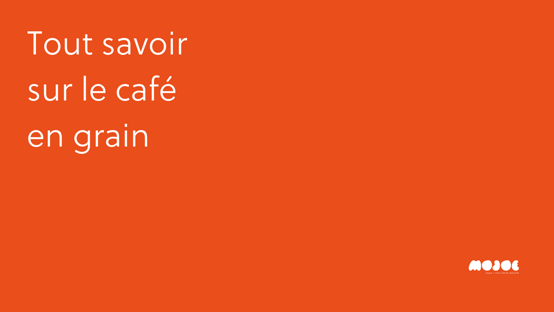 Le meilleur café en grain : le guide pour tout savoir