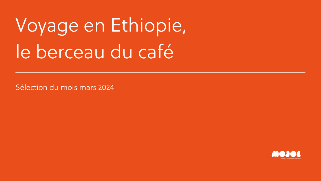 La sélection du mois de mars 2024 : voyage en Ethiopie, le berceau du café