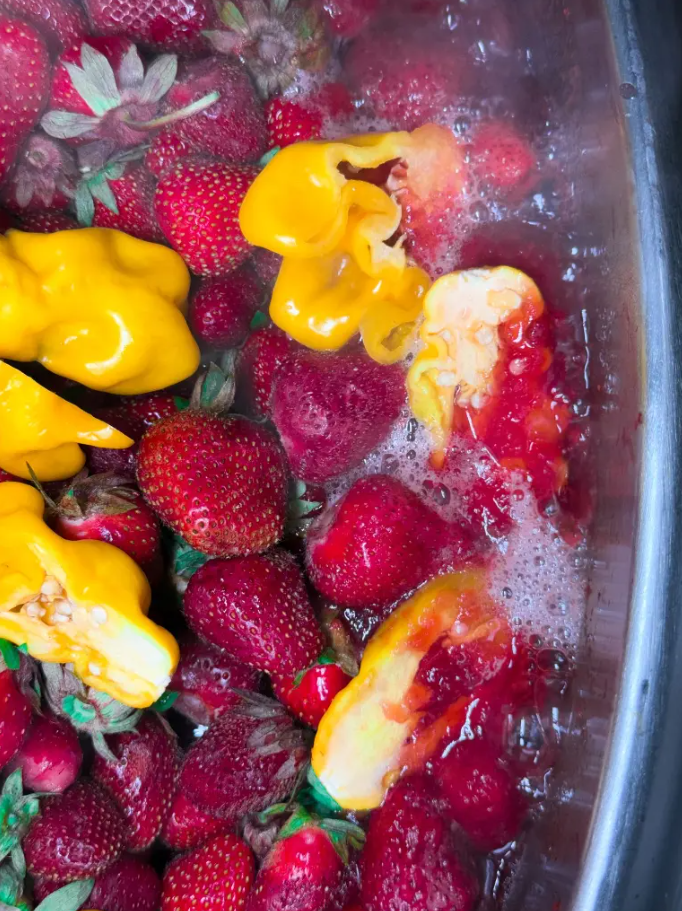 Swet - Forever - Sauce piquante