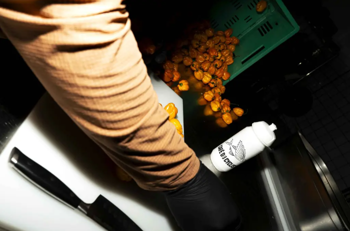 Swet - Fringale - Sauce piquante 6/10 🌶️