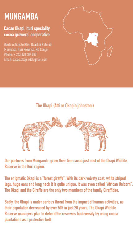 Mike & Becky - Tablette - Mungamba Dark Milk 50% - Congo