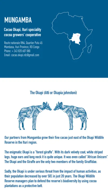 Mike & Becky - Tablette - Zero Sugar 70% - Very Dark Milk Mungamba - Congo